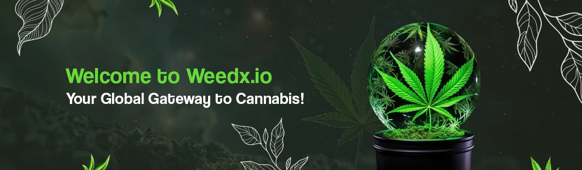 Weedx.io Promotion banner