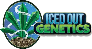 Iced Out Genetics - Cannabis Dispensary Battle Creek