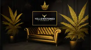 Yellowstoned Dispensaries Montana