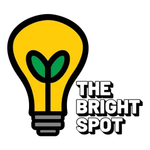 The bright spot