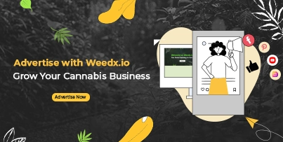 Weedx.io Promotion banner