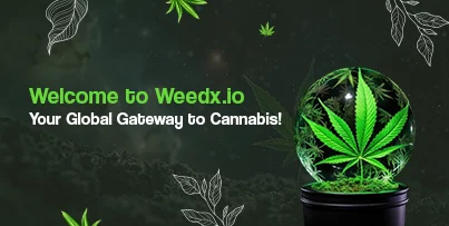 Weedx.io Promotion banner