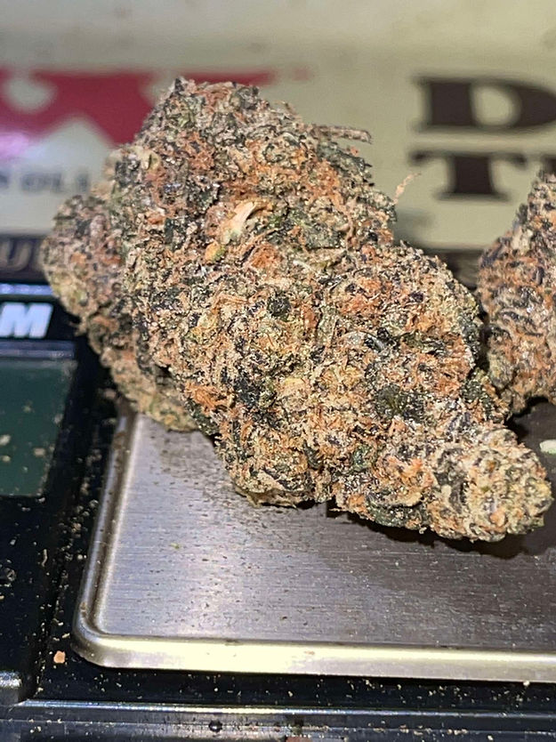 Biscotti X Girl Scout Cookies (3.5 g)