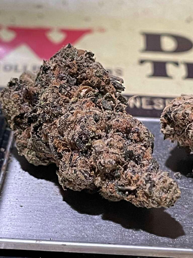 Biscotti X Girl Scout Cookies (3.5 g)