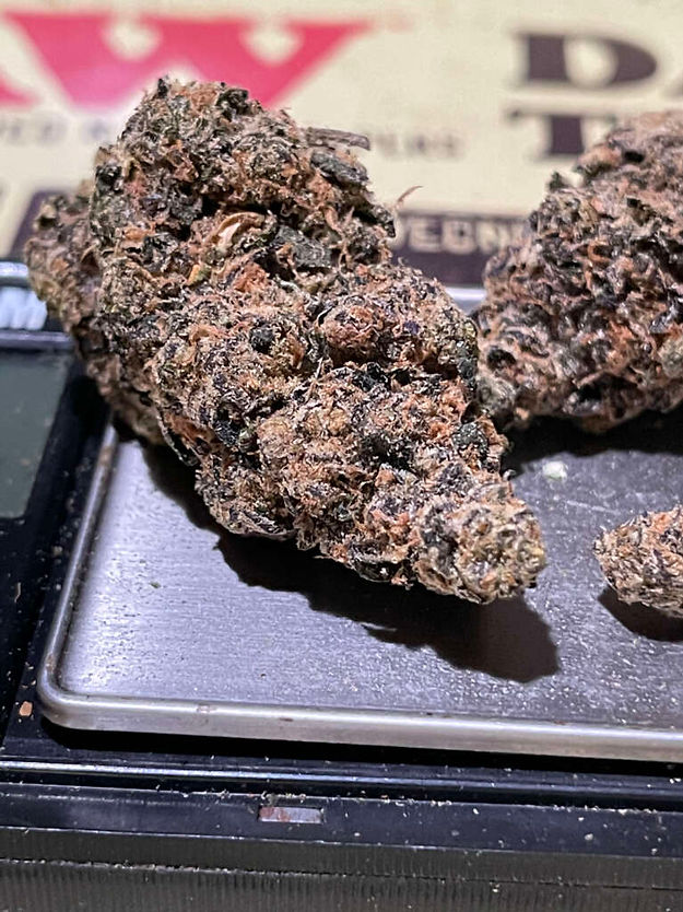 Biscotti X Girl Scout Cookies (3.5 g)