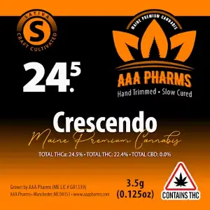 Crescendo - Premium Flower