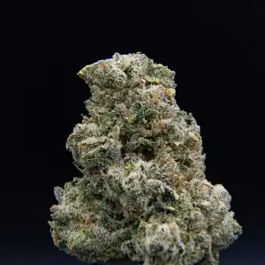 Clementine Kush