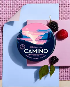 Camino | 100mg | Edibles | Gummies | 20 Pack | Wild Berry