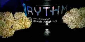 Black Afghan