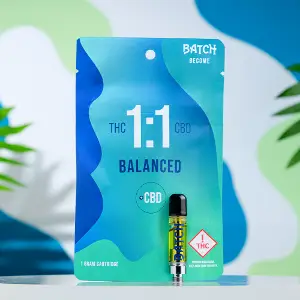 Balanced - CBD