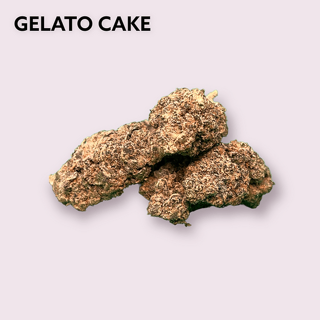 GELATO CAKE