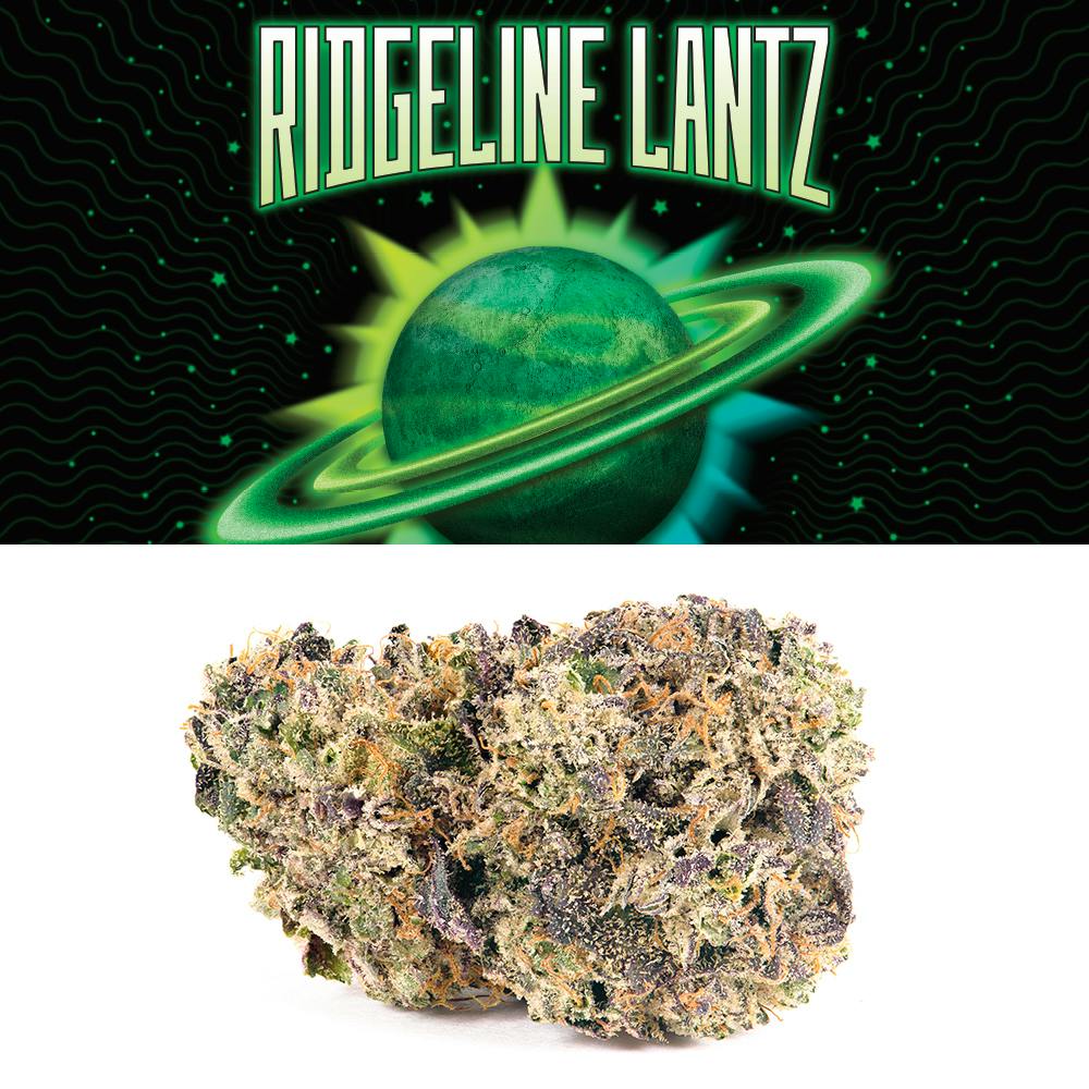 COOKIES - RIDGELINE LANTZ - INDOOR