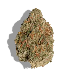 Jenny Kush 1oz