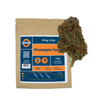 PINEAPPLE FIELDS | 3.5G | KING COLA