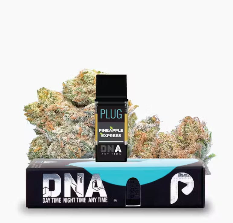 VAPE - 1g PLUG™ DNA: Pineapple Express