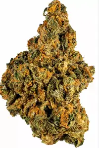 Choco Mojito (NSM) $20 3.5g Pre Pack - DDNA