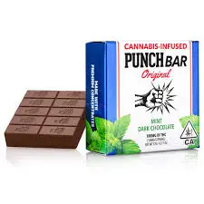 Mint Dark Chocolate (100mg) | Hybrid